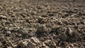 Barren field during drought