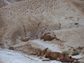 Barren Judaean Desert, Israel, Holy Lands Royalty Free Stock Photo