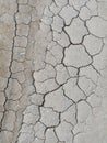 cracked ground due to drought on a plain in northern Kalimantan, Indonesia Royalty Free Stock Photo