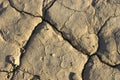 Barren land. Drought Royalty Free Stock Photo