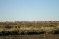 Barren landscape in the desert featuring sand dunes and patches of grass, Uws Province, Mongolia Royalty Free Stock Photo