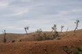 Barren landscape Royalty Free Stock Photo