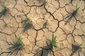 Barren landscape dried, cracked soil under scorching summer sun