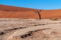 Barren landscape near Deadvlei and sossusvlei