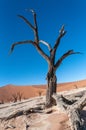 Barren landscape near Deadvlei and sossusvlei