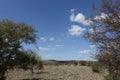 Barren landscape with tree and blue sky