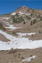 Barren Rocks and Struggling Trees on a Volcanic Landscape Royalty Free Stock Photo