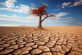 Barren strength lone tree standing tall in a cracked desert