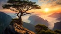 Barren tree growing on a cliff of Tianmen mountain at dusk