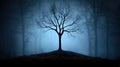 Barren tree silhouette in misty forest dark and moody atmosphere Royalty Free Stock Photo