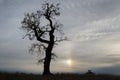 Barren tree branches and sunbow and dramatic sky