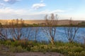 Barren trees by the lake. Royalty Free Stock Photo