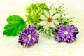 Barrette with elastic and violet ribbon, flowers and green leaf isolated on white background Royalty Free Stock Photo