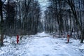 Barrier in the forest