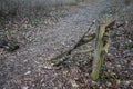 A barrier made of branches on a path in the forest. Berlin, Germany Royalty Free Stock Photo