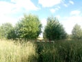 Barrier in red - white stripe in the grass. No entry