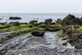 beach on the basque coast in spring with the green rocks Royalty Free Stock Photo