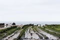 Beach on the basque coast in spring with the green rocks Royalty Free Stock Photo