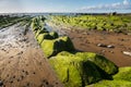 Barrika beach, bilbao Royalty Free Stock Photo