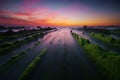 Barrika beach at sunset with seaweed Royalty Free Stock Photo