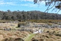 Barrington Tops swamps and bridge Royalty Free Stock Photo