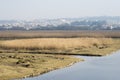 Barrinha of Esmoriz, National Reserve in Espinho, Portugal Royalty Free Stock Photo