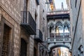 Barrio Gotico, Spanish for Gothic Quarter, is one of the oldest and most beautiful districts in Barcelona, Spain