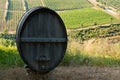 Barrique in chianti Royalty Free Stock Photo