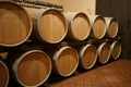 Barrique in a wine cellar Royalty Free Stock Photo