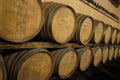 Barrique in a wine cellar Royalty Free Stock Photo