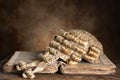 Barrister's wig on old book