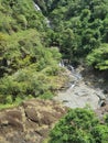 Barron river waterfall in daintree Royalty Free Stock Photo