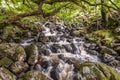 Barrow Beck in the Lake District, UK Royalty Free Stock Photo