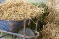 Barrow with straw