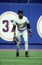 Barry Bonds Pittsburgh Pirates Royalty Free Stock Photo