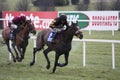 Barry Geraghty and Roberto Goldback Royalty Free Stock Photo