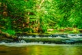 Bars and tree trunks on the river