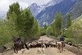 Barskaun Gorge, Kyrgyzstan