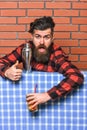 Bartender concept. Man in checkered shirt on brick wall background. Barman with long beard and mustache and stylish hair Royalty Free Stock Photo
