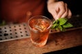 Bartender decorates cocktail mint leaves no face