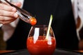 Bartender decorating Bloody Mary or Ceasar cocktail at the bar Royalty Free Stock Photo