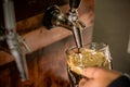 Bartender filling up with craft beer a pint glass Royalty Free Stock Photo