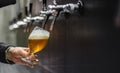 Bartender hand at beer tap pouring a draught beer in glass serving in a restaurant Royalty Free Stock Photo