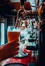 Bartender hand at beer tap pouring a draught beer in glass serving in a bar Royalty Free Stock Photo