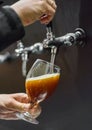 Bartender hand at beer tap pouring a draught beer in glass serving in a restaurant Royalty Free Stock Photo