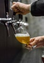 Bartender hand at beer tap pouring a draught beer in glass serving in a restaurant Royalty Free Stock Photo