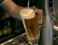 Bartender hand at beer tap pouring a draught beer in jar serving in a restaurant or pub Royalty Free Stock Photo