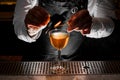 Bartender making fresh alcoholic drink with smoky note Royalty Free Stock Photo