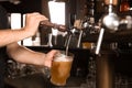 Bartender pouring beer from tap into glass in bar Royalty Free Stock Photo