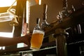 Bartender pouring beer from tap into glass Royalty Free Stock Photo